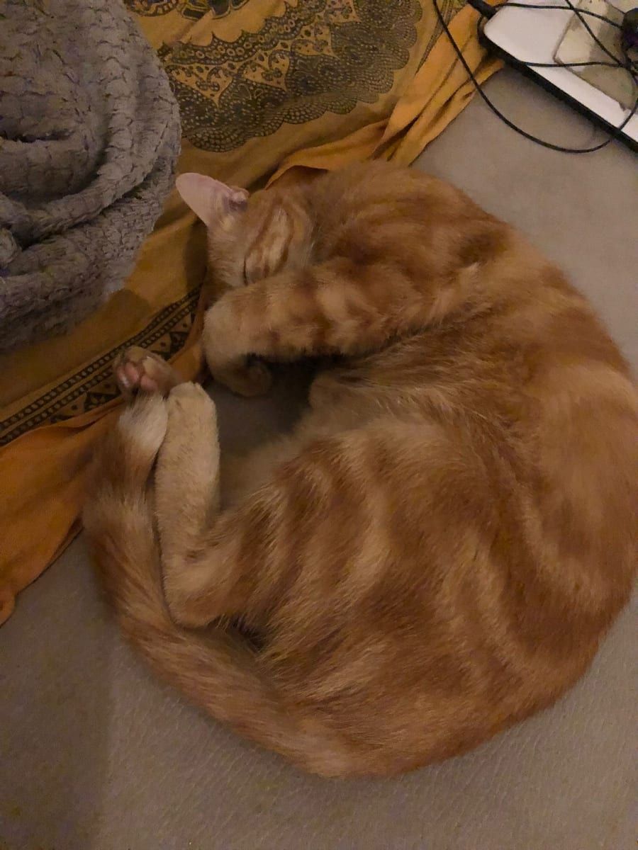 Nermin - Rencontre gay à Carì Profil de Nermin, 36 ans, Rencontre gay à Carì (Tessin)